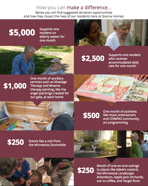 annual report - Gianna Homes | In-Home and Residential Care - Twin Cities